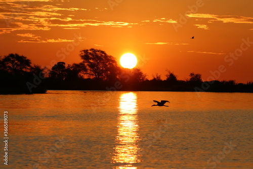 Bird watching by the Chobe River in Botswana
