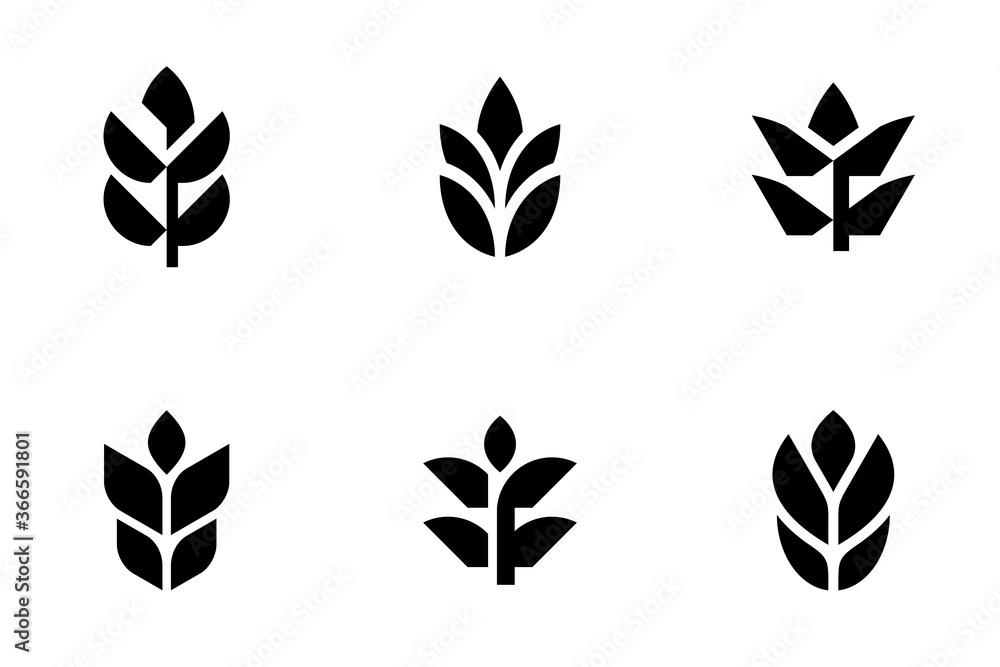 Set of Wheat logo. Icon design. Template elements Set of Wheat logo. Icon design. Template elements