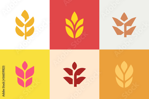 Set of Wheat logo. Icon design. Template elements