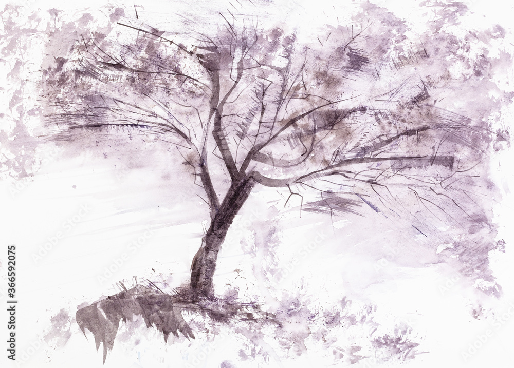 old tree hand drawn by watercolour paint on white textured paper without brushes (using plastic card, etc) old tree hand drawn by watercolour paint on white textured paper without brushes (using plastic card, etc)