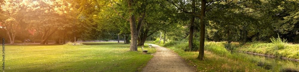 Panorama of the park with the river, summer time. Forest landscape. Panorama of the park with the river, summer time. Forest landscape.