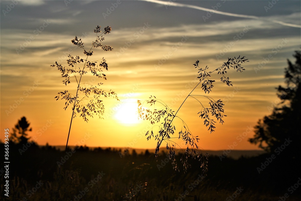 Naklejka premium coucher de soleil