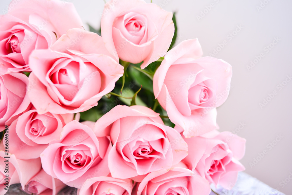 a bouquet of delicate pink roses on a light background a bouquet of delicate pink roses on a light background