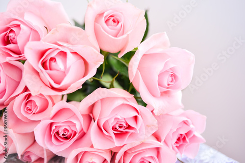 a bouquet of delicate pink roses on a light background