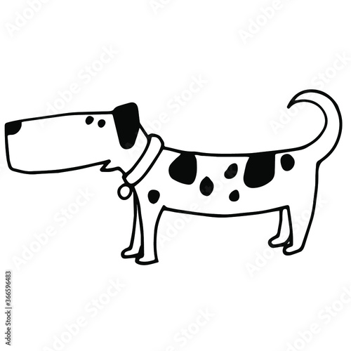 Funny beautiful dog.   Puppy with long legs short, hand drawn black and white contour line doodle isolated
