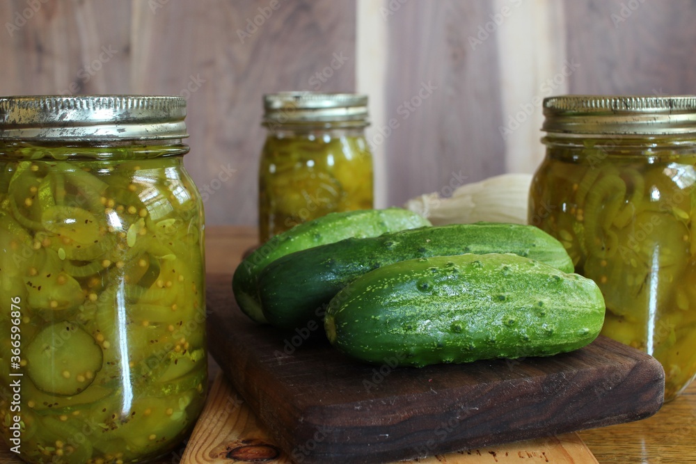 home canned pickles in glass jars made with fresh cucumbers from a family vegetable garden home canned pickles in glass jars made with fresh cucumbers from a family vegetable garden