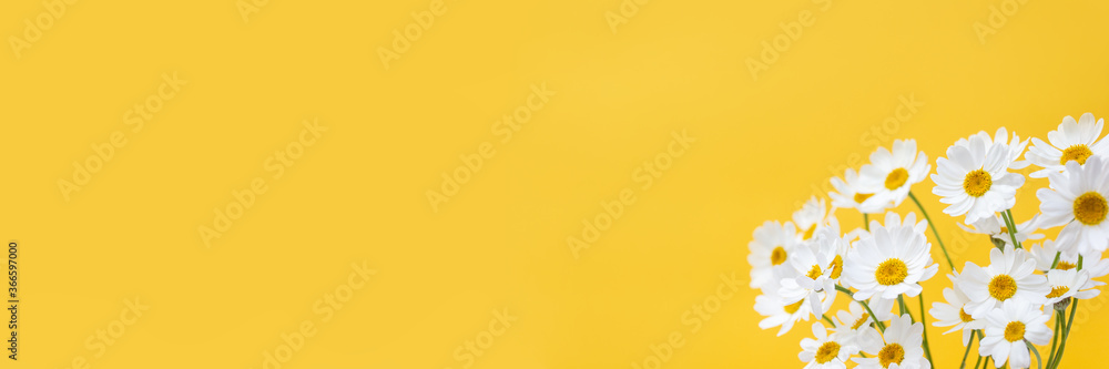Bouquet of daisies on yellow background. Summer concept. Selective soft focus. Banner, place for text Bouquet of daisies on yellow background. Summer concept. Selective soft focus. Banner, place for text