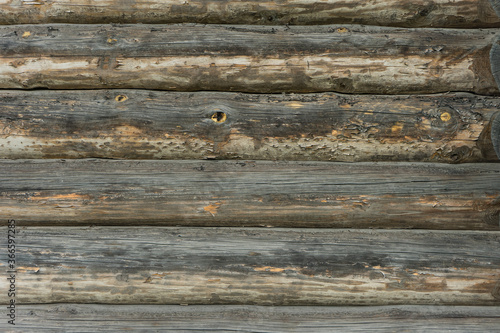 a wooden background of an old fashioned rustic cut log wall