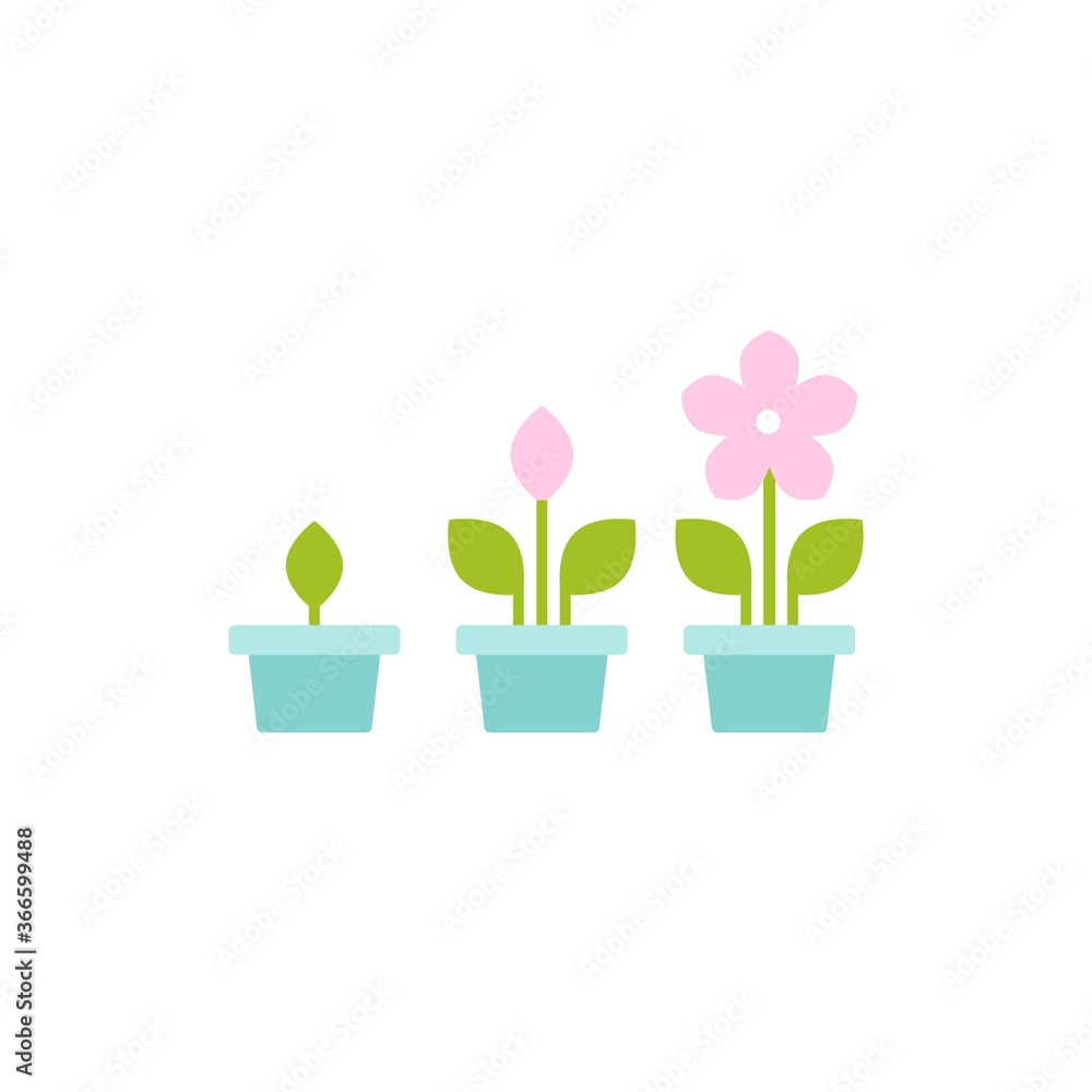 3 plant in pots with green leaves and flower. Growing process vector flat icon. 3 plant in pots with green leaves and flower. Growing process vector flat icon.