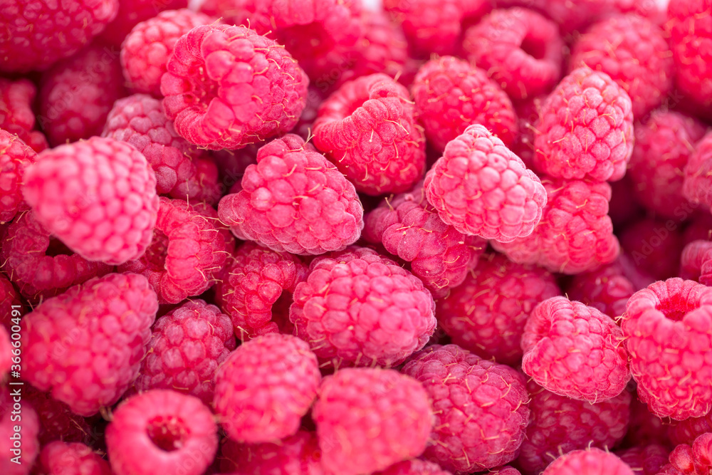 A beautiful selection of freshly picked ripe red raspberries. Close-up above view A beautiful selection of freshly picked ripe red raspberries. Close-up above view