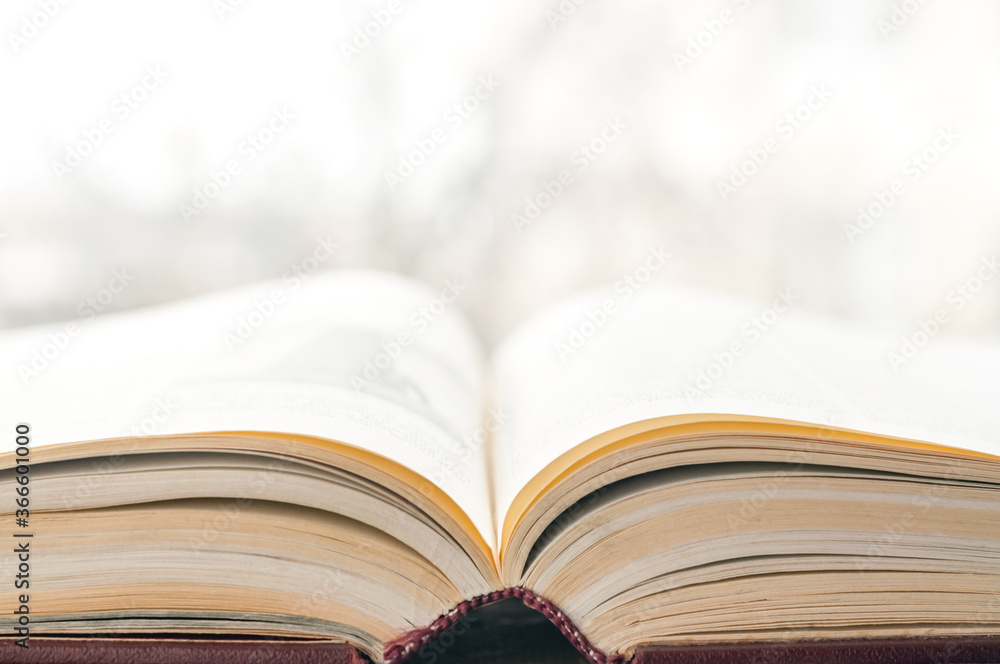 One old open book close up with yellow pages on an abstract background One old open book close up with yellow pages on an abstract background