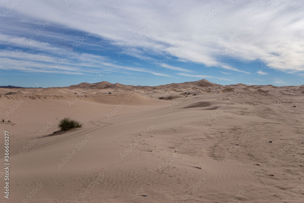 dunas dunas