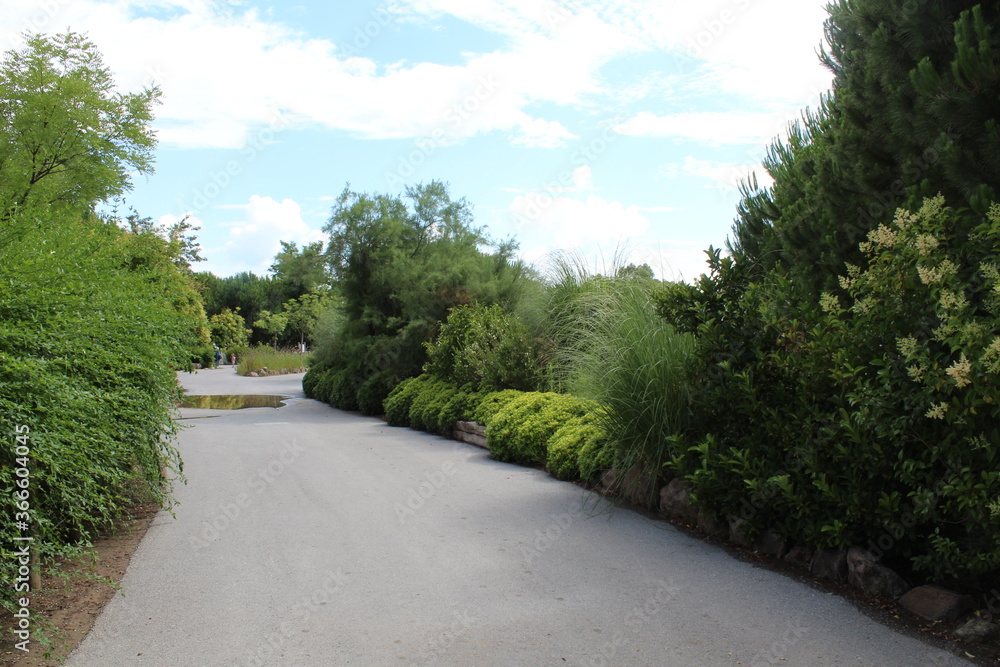 Road in garden landscape