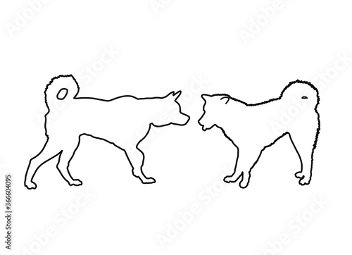Siberian Husky dog couple in love, vector line contour silhouette illustration. Beware of dog pet.