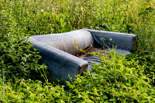 old dirty discarded sofa surrounded by wild plants photo