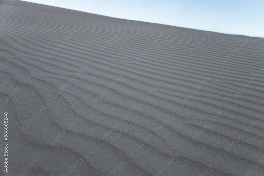 Obraz premium desierto y dunas