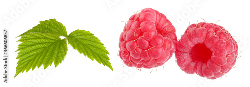 raspberry macro isolated on white background