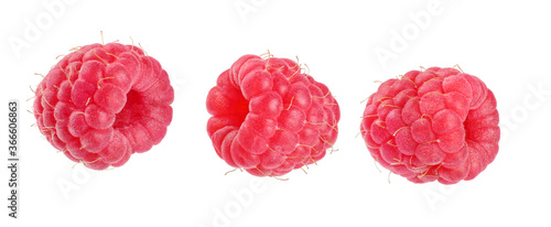 raspberry isolated on white background macro