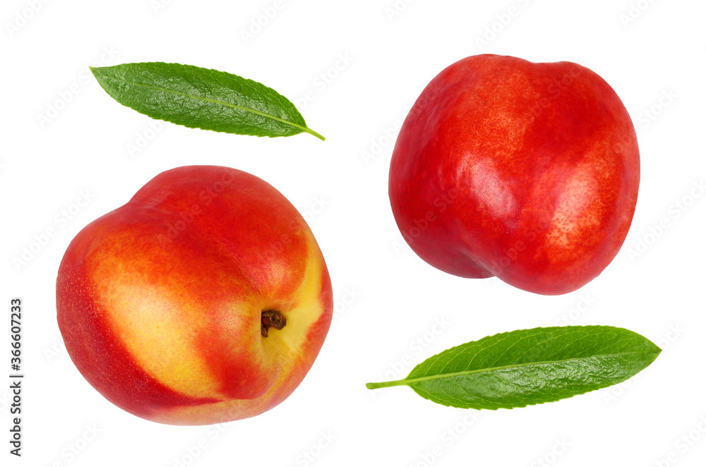 nectarin whole and cut isolated on white background nectarin whole and cut isolated on white background