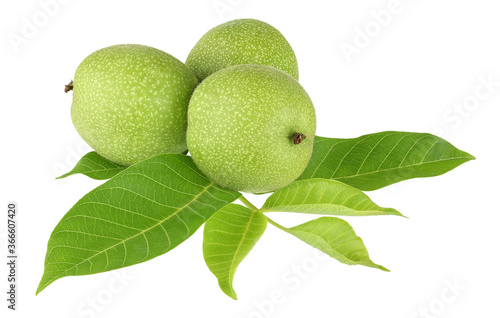 green walnut isolated on white background