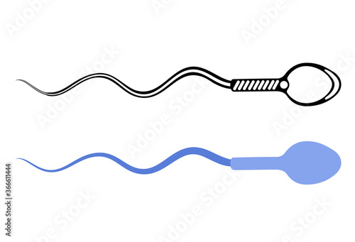 Reproductive system concept