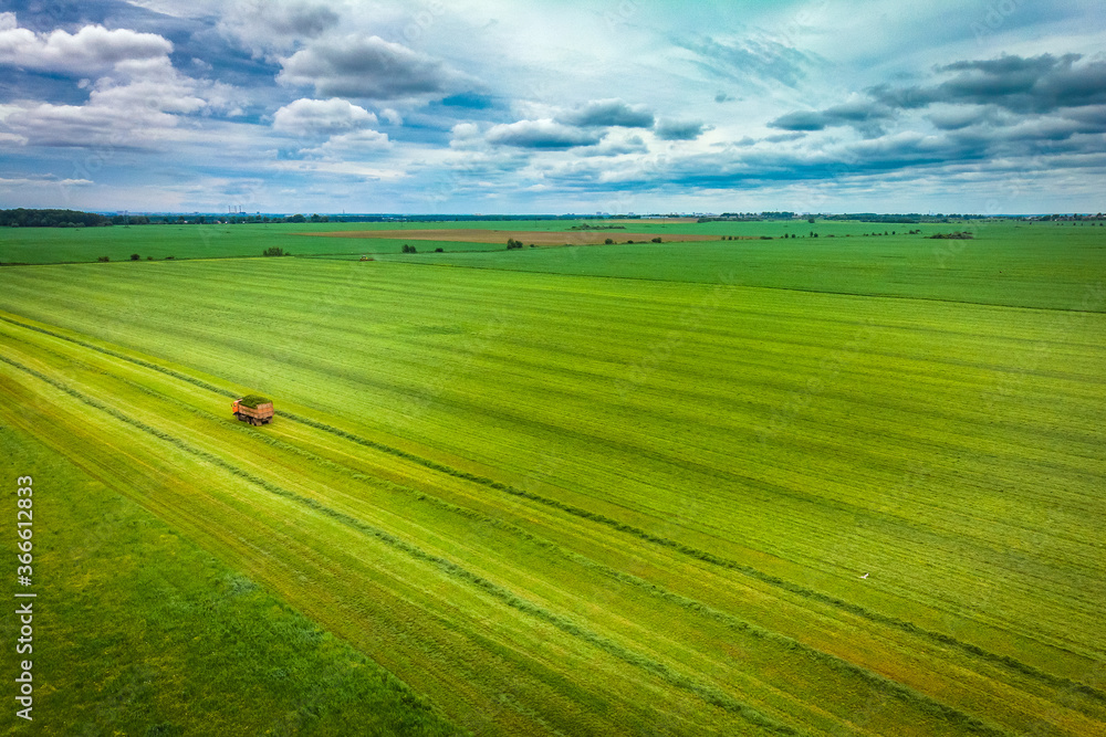 Fototapeta premium Tractor mowing green field, aerial view