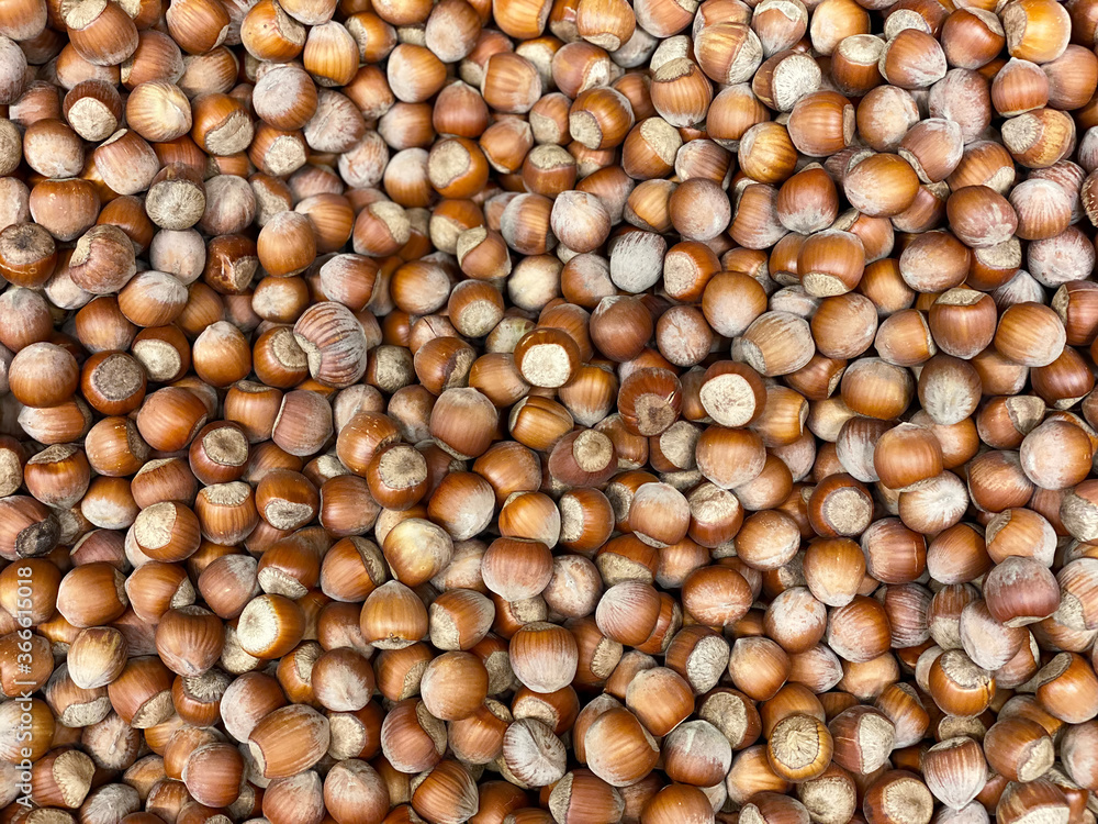 Hazelnut background. Food background. Top view Hazelnut background. Food background. Top view