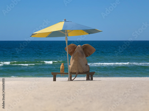 Photography elephant and dog sit under an umbrella on the beach