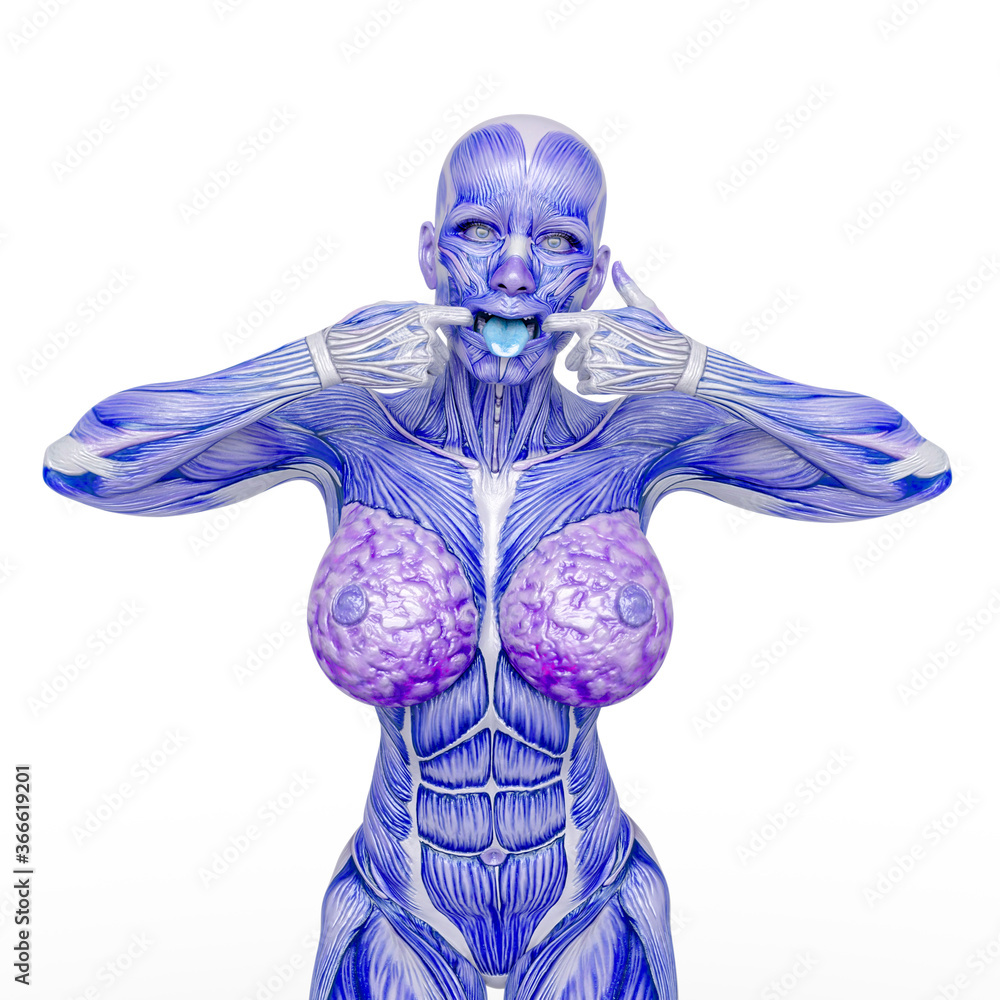 female bodybuilding in muscle maps is pulling faces in white background female bodybuilding in muscle maps is pulling faces in white background