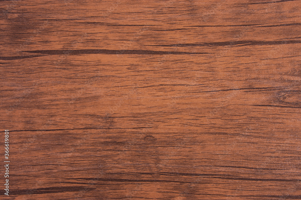 背景素材にスタジオ撮影