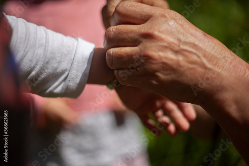 Elderly woman's hands in the sunlight