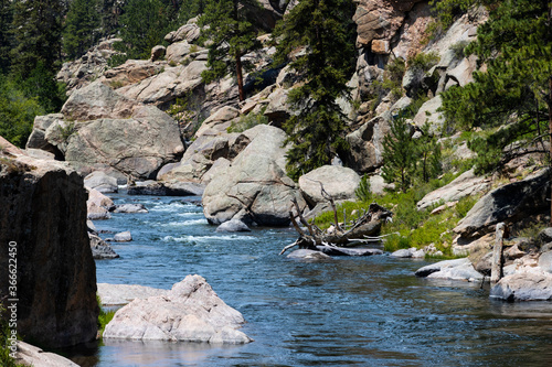 South Platte River in Eleven Mile Canyon
