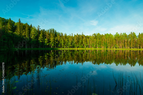 A Lake near a forrest in Karelia, Russian Federation