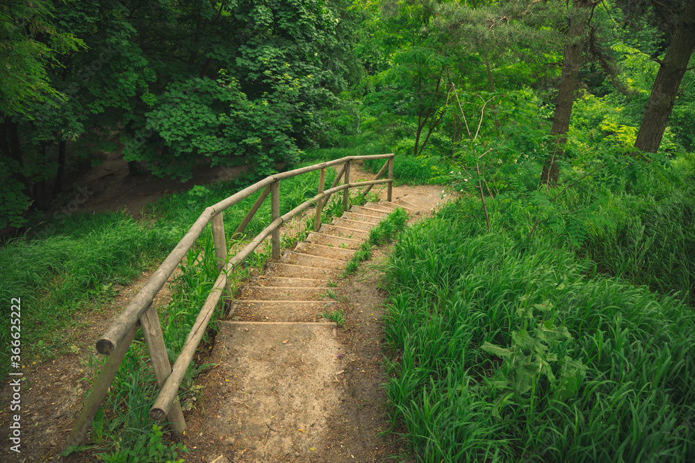 summer park nature photography top view green grass and lonely narrow stairway for walking fresh air