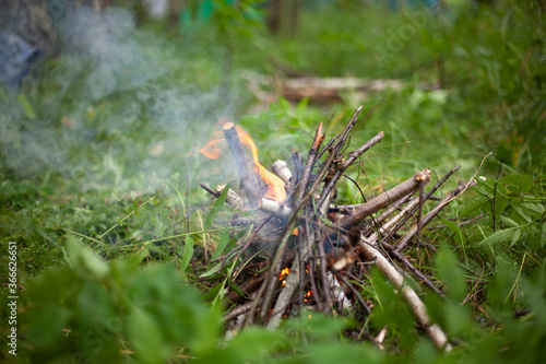 Bonfire in the forest. Fire in nature.