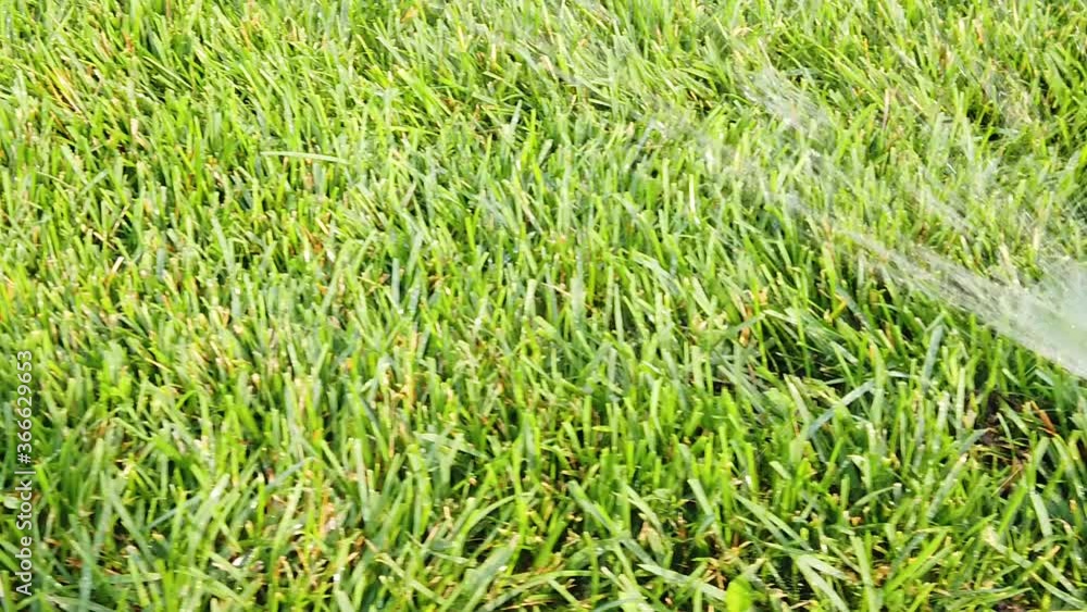 Automatic Garden Lawn sprinkler system is watering grass, grown level shot in slow motion panning left. Automatic Garden Lawn sprinkler system is watering grass, grown level shot in slow motion panning left.