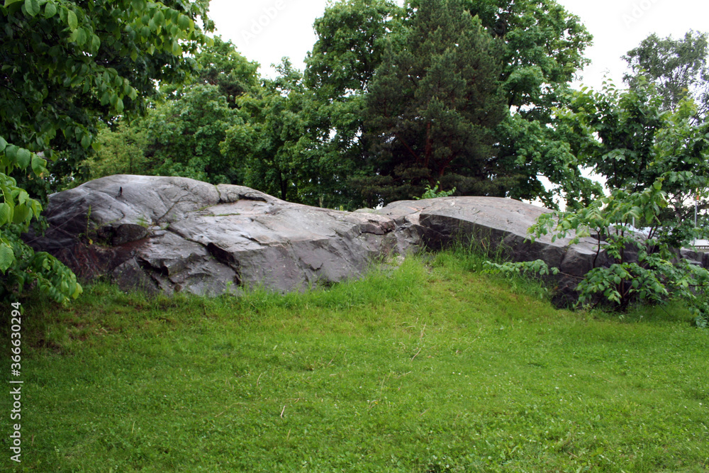 Walking in a Park in Helsinki, Finland