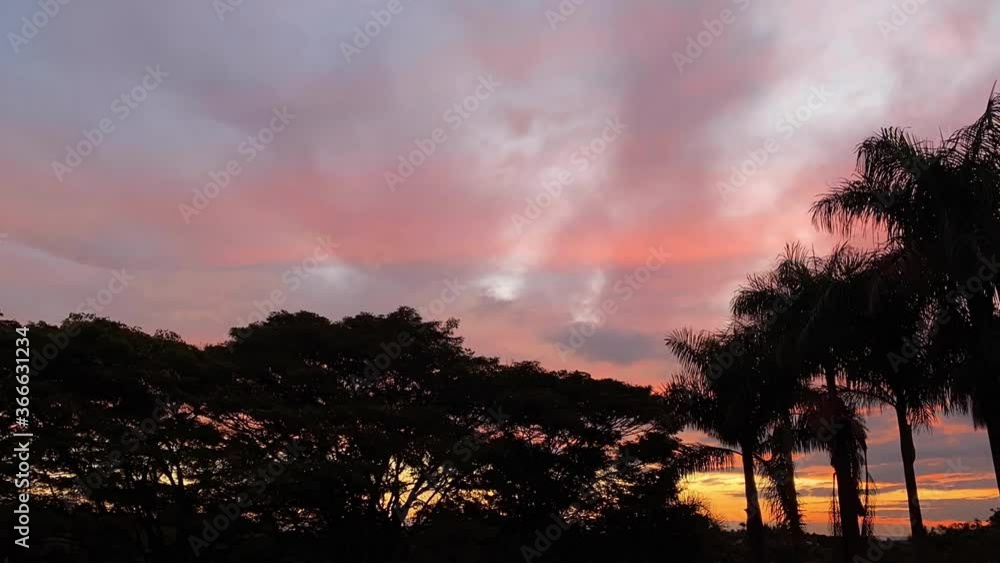Time lapse of sunset with palm tree trunks, beautiful sky and colored clouds moving Time lapse of sunset with palm tree trunks, beautiful sky and colored clouds moving