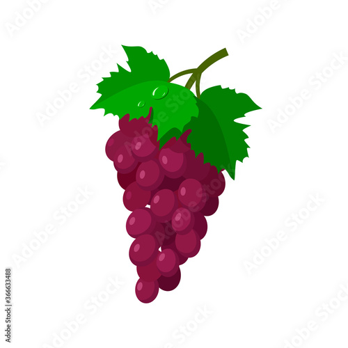 A red bunch of grapes with two green leaves. Berries isolated on a white background. Stock vector illustration. Design element for logo, label,sign, emblem, badge.
