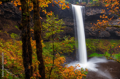 Fototapeta Naklejka Na Ścianę i Meble -  South Falls in Autumn, Silver Falls State Park, Oregon