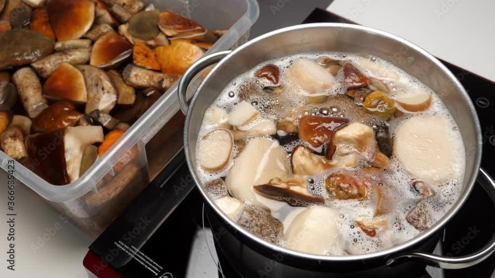 Boiling mushrooms in pan. Cooking process. Nobody Boiling mushrooms in pan. Cooking process. Nobody