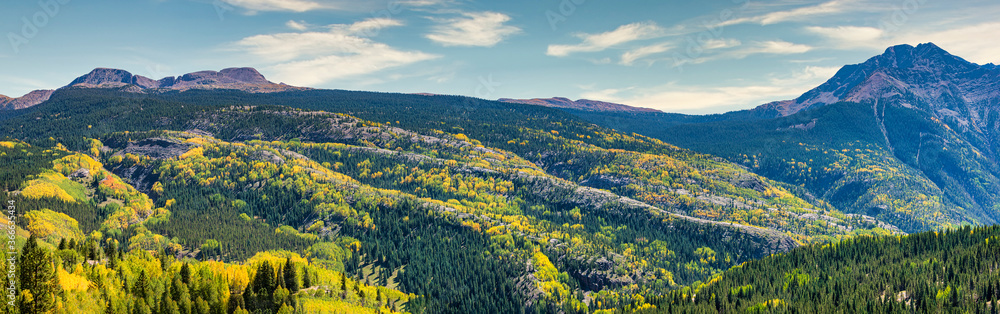 Southern Colorado Foliage 