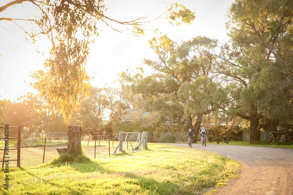 Children riding bikes on remote country lane