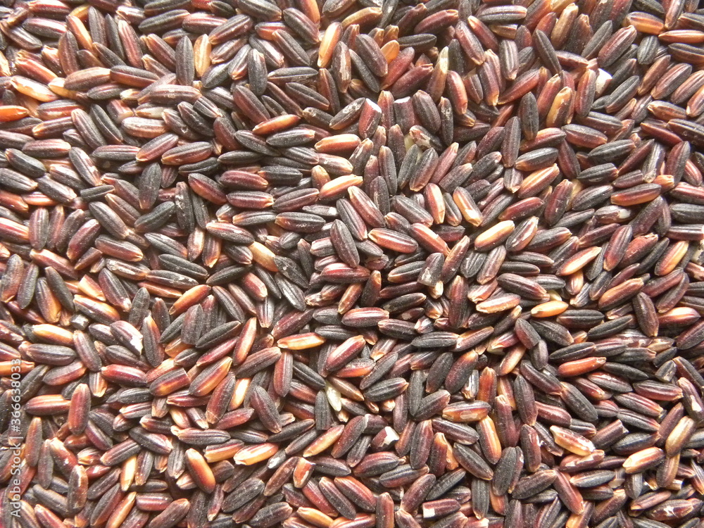 Black color raw whole rice Black color raw whole rice
