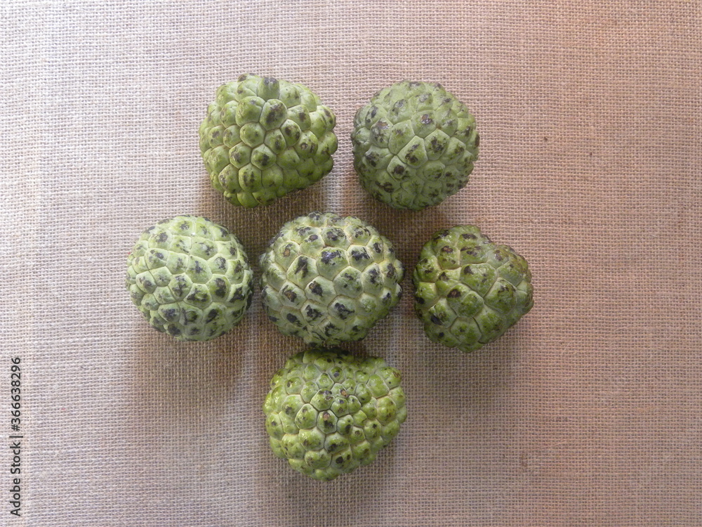 Obraz premium Green color Sugar apple or sweetsop fruits