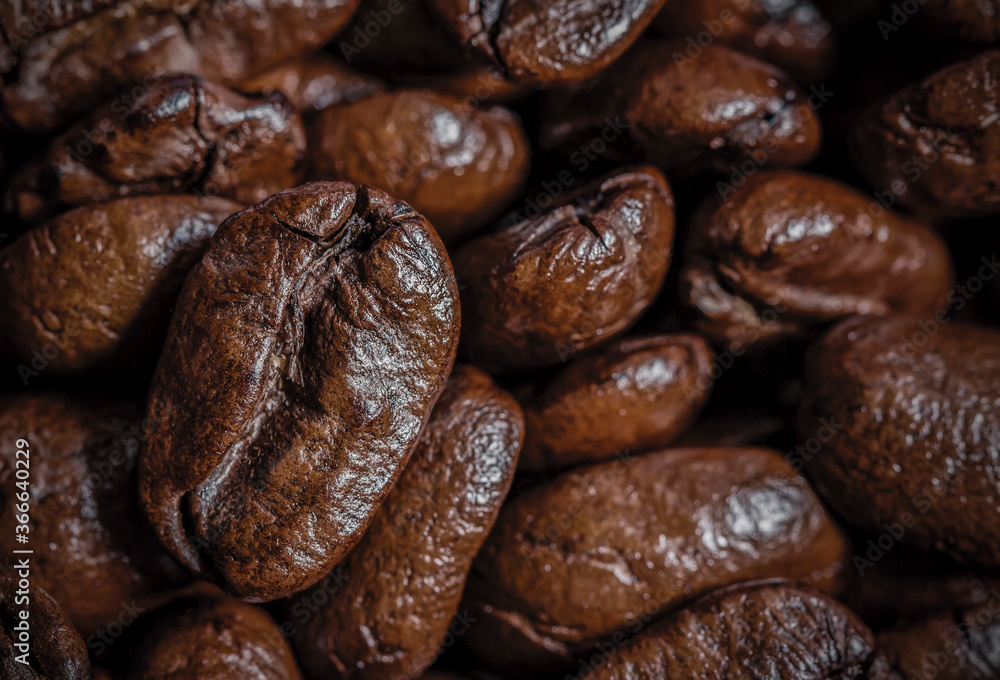 Obraz premium Macro coffee beans texture background