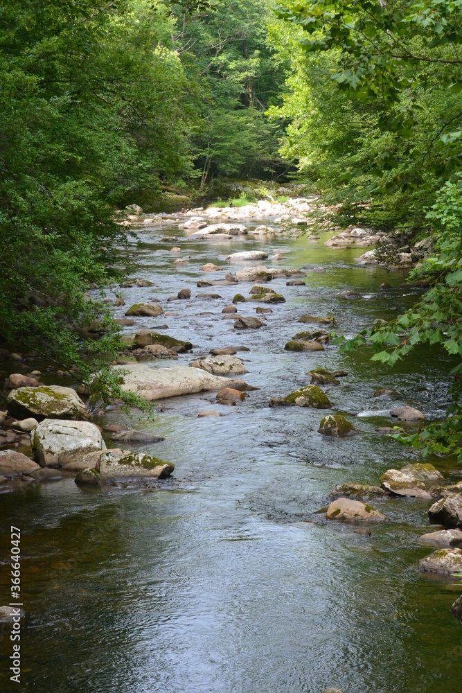 Beauty in the Smokies Beauty in the Smokies
