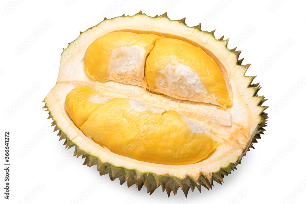 A fresh durian (Puangmanee Durian) is the king of fruits on white background,durian fruit with delicious golden yellow soft flesh,durian isolated on white background A fresh durian (Puangmanee Durian) is the king of fruits on white background,durian fruit with delicious golden yellow soft flesh,durian isolated on white background