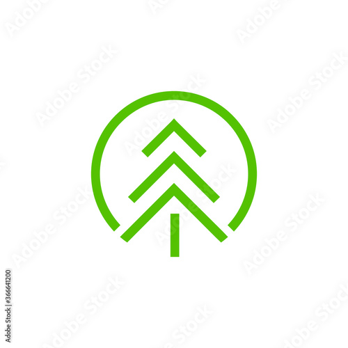pine tree logo design modern