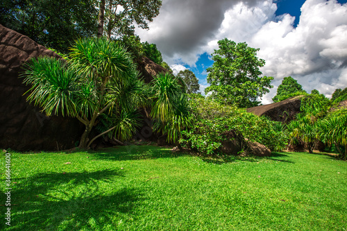 Natural background in the park with many kinds of plants  large stones  allow tourists to stop and take photos while traveling  the beauty of the ecosystem